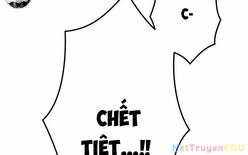 Vượt Cấp Với Kỹ Năng Thần Thánh Chapter 1 - 548