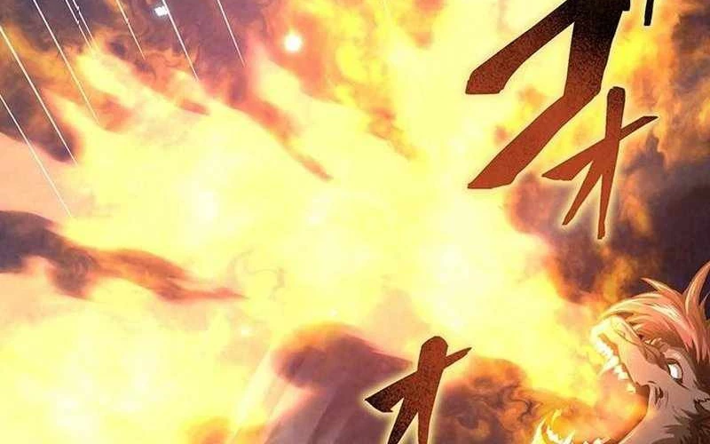 Vượt Cấp Với Kỹ Năng Thần Thánh Chapter  2 - 212