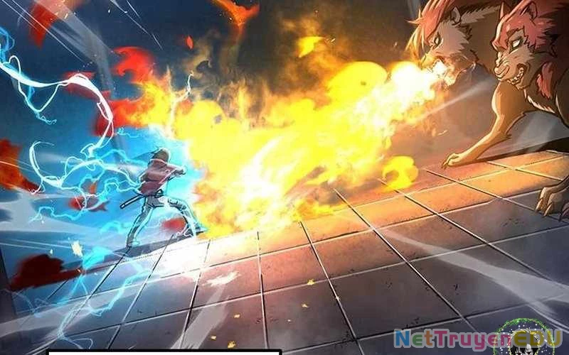 Vượt Cấp Với Kỹ Năng Thần Thánh Chapter  2 - 261