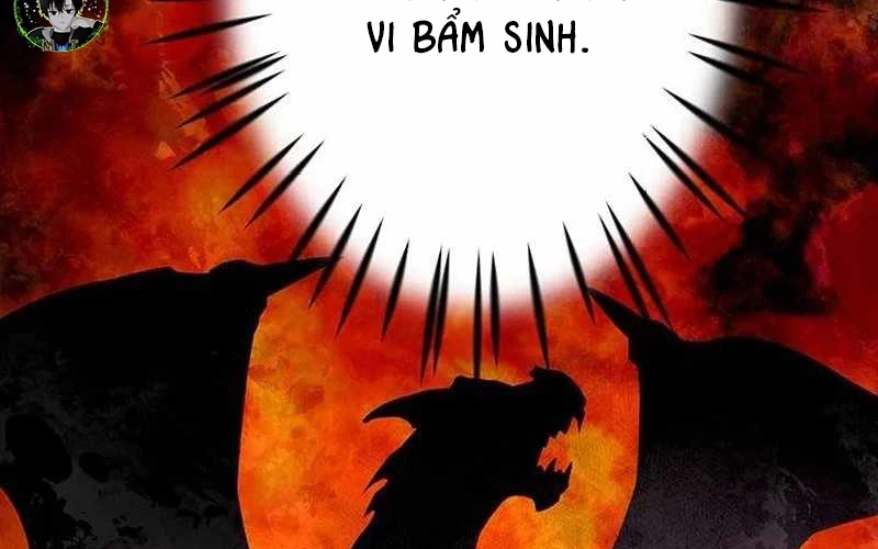 Vượt Cấp Với Kỹ Năng Thần Thánh Chapter  2 - 278