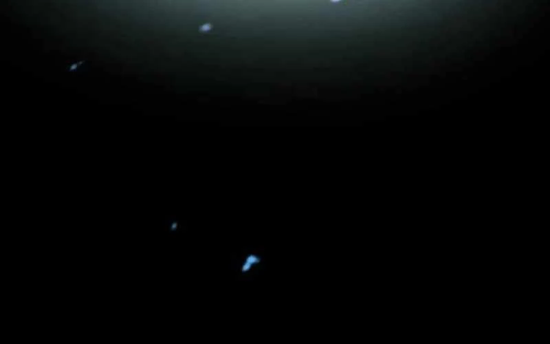 Vượt Cấp Với Kỹ Năng Thần Thánh Chapter  2 - 361