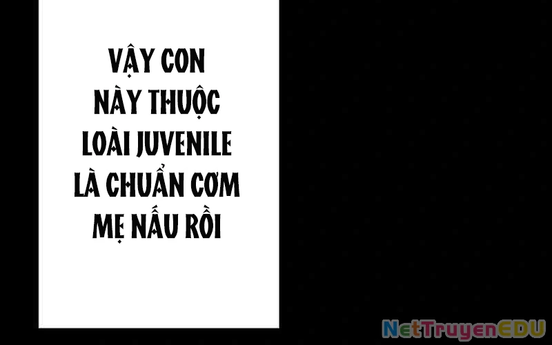 Vượt Cấp Với Kỹ Năng Thần Thánh Chapter  3 - 58