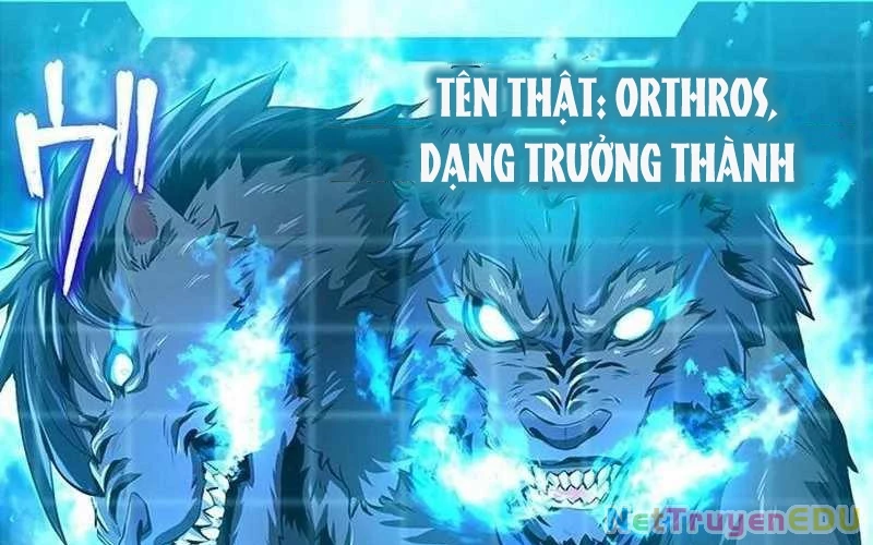 Vượt Cấp Với Kỹ Năng Thần Thánh Chapter  3 - 163