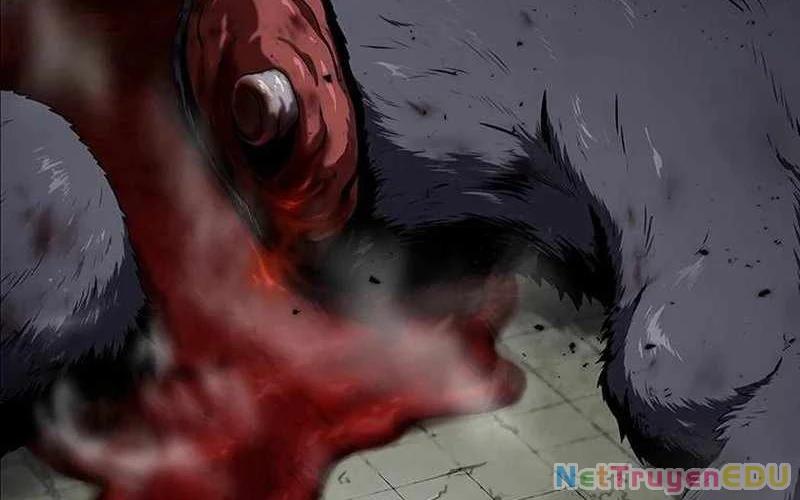 Vượt Cấp Với Kỹ Năng Thần Thánh Chapter  4 - 201