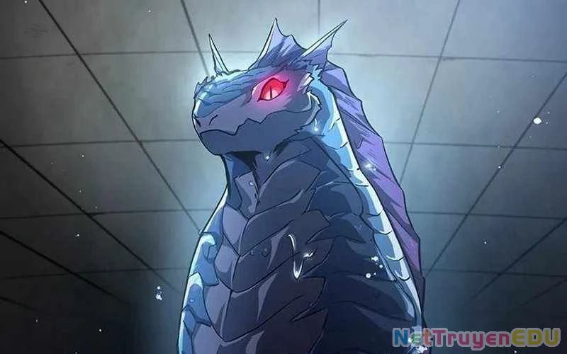 Vượt Cấp Với Kỹ Năng Thần Thánh Chapter  5 - 169