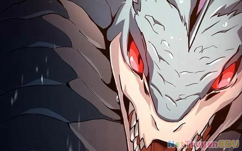 Vượt Cấp Với Kỹ Năng Thần Thánh Chapter  5 - 255