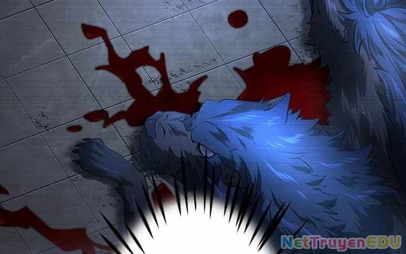 Vượt Cấp Với Kỹ Năng Thần Thánh Chapter  6 - 87