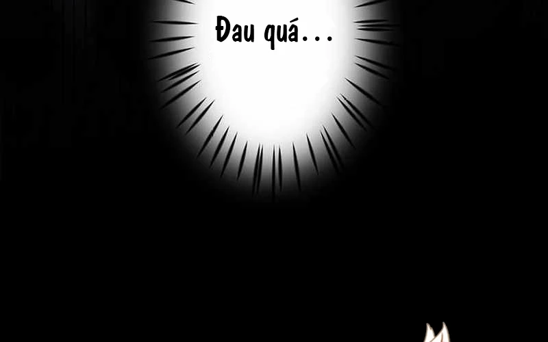 Vượt Cấp Với Kỹ Năng Thần Thánh Chapter  8 - 22