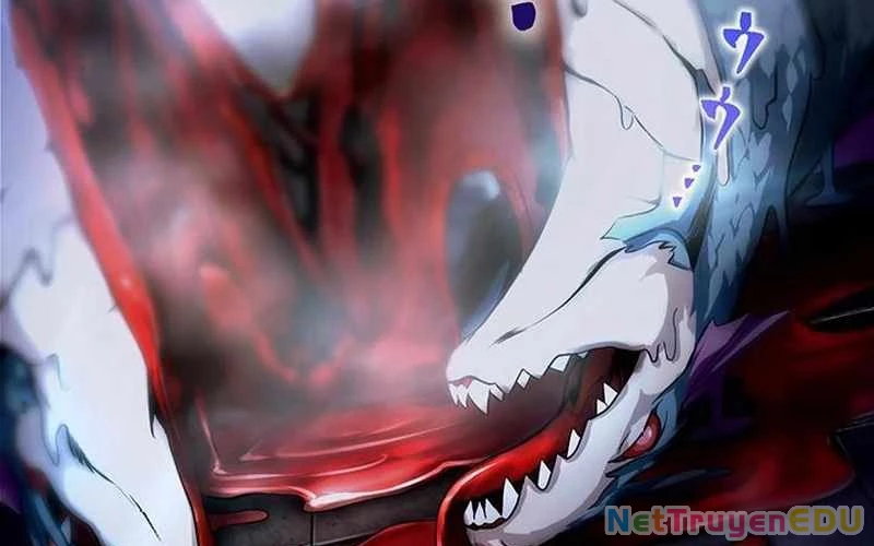 Vượt Cấp Với Kỹ Năng Thần Thánh Chapter  8 - 50