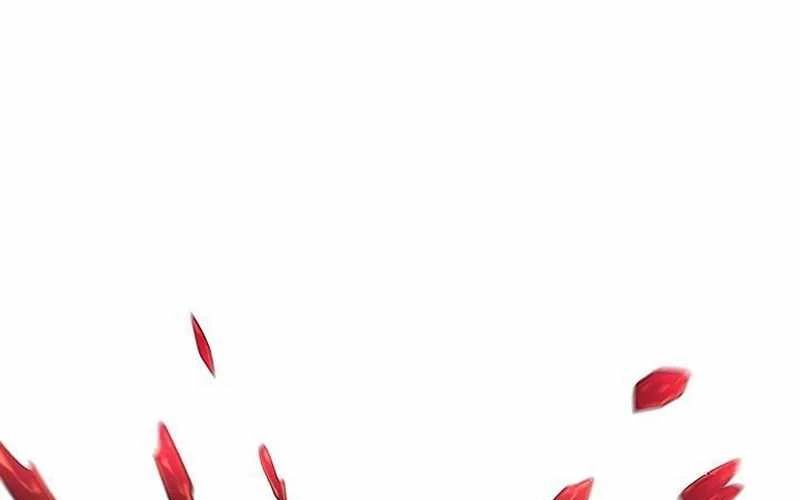 Vượt Cấp Với Kỹ Năng Thần Thánh Chapter  8 - 205