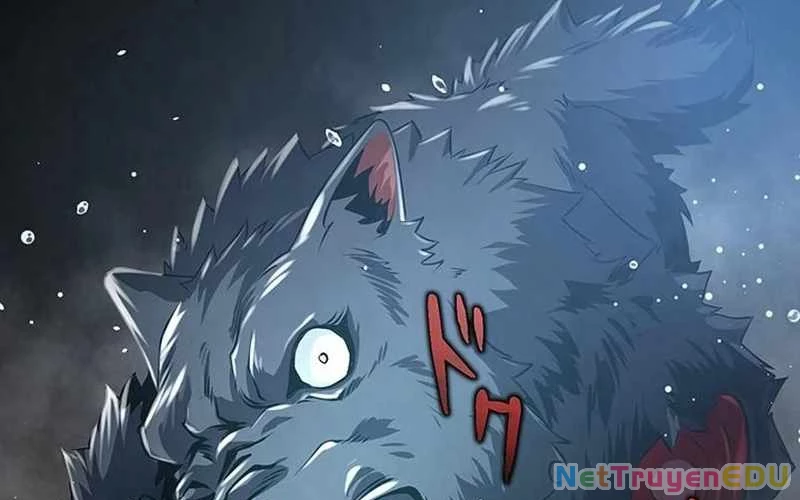 Vượt Cấp Với Kỹ Năng Thần Thánh Chapter  8 - 211