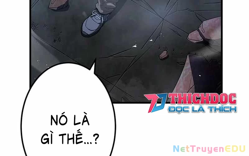 Vượt Cấp Với Kỹ Năng Thần Thánh Chapter 10 - 13