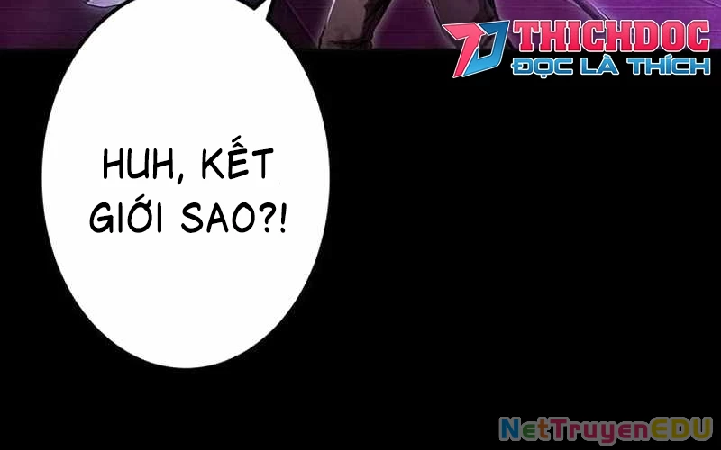 Vượt Cấp Với Kỹ Năng Thần Thánh Chapter 10 - 38