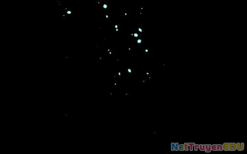 Vượt Cấp Với Kỹ Năng Thần Thánh Chapter 10 - 72