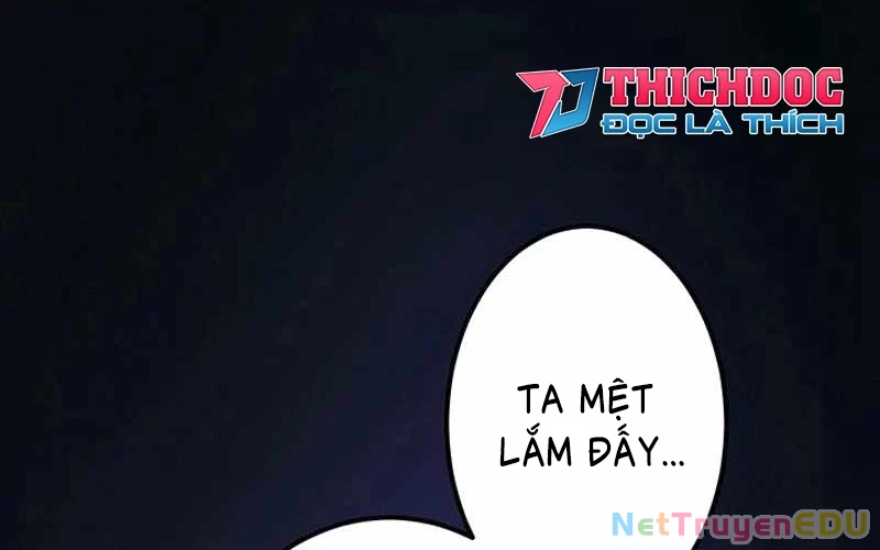 Vượt Cấp Với Kỹ Năng Thần Thánh Chapter 10 - 155