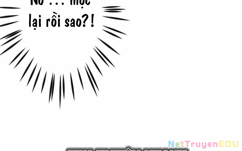 Vượt Cấp Với Kỹ Năng Thần Thánh Chapter 10 - 188