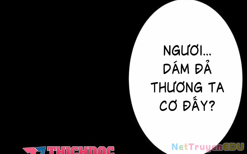 Vượt Cấp Với Kỹ Năng Thần Thánh Chapter 10 - 199