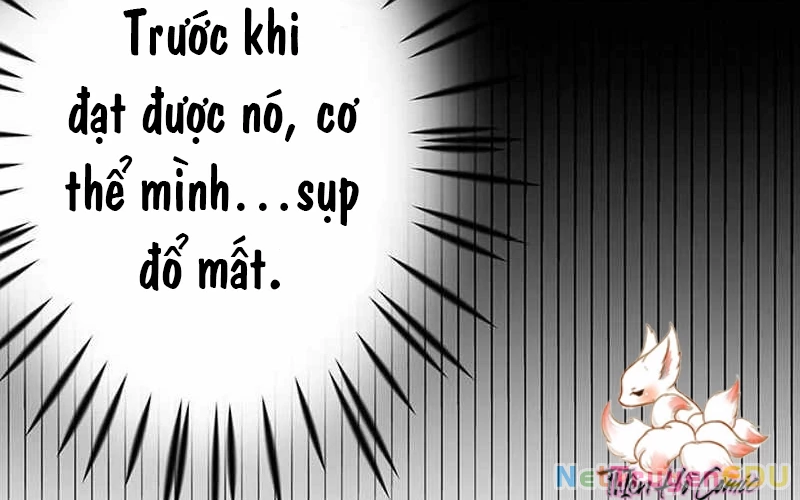 Vượt Cấp Với Kỹ Năng Thần Thánh Chapter 10 - 236