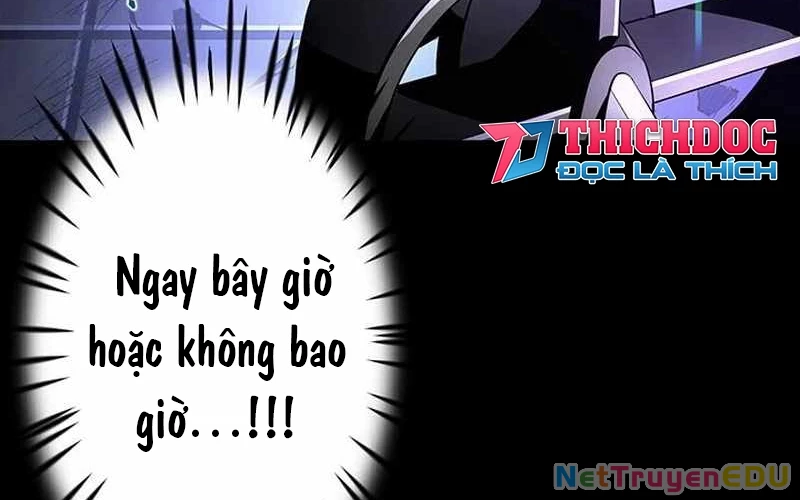 Vượt Cấp Với Kỹ Năng Thần Thánh Chapter 10 - 248