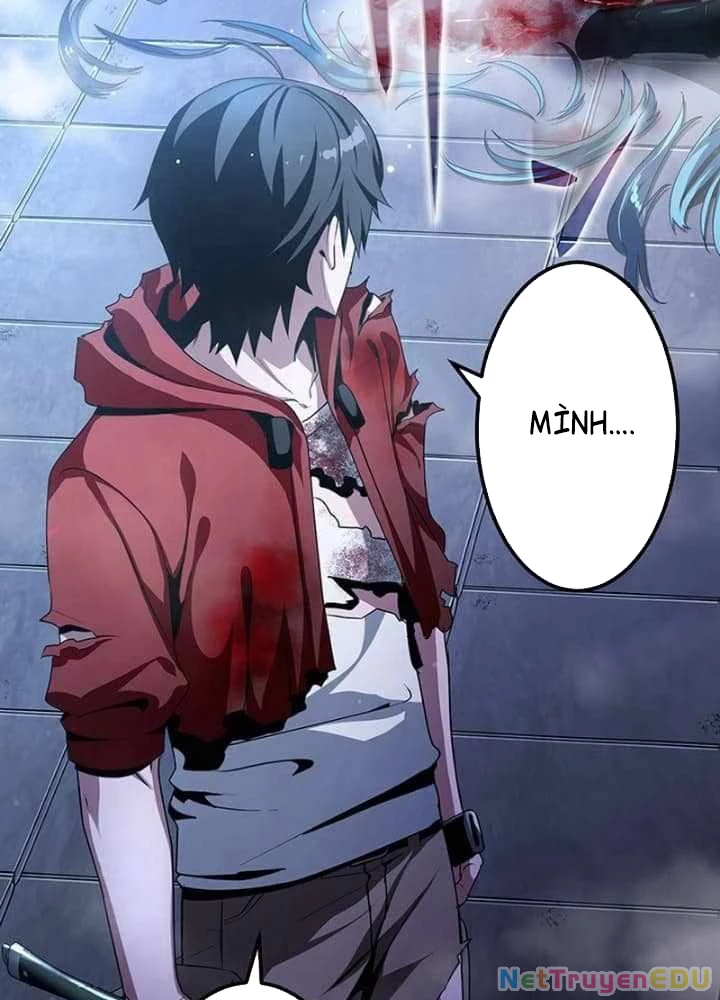 Vượt Cấp Với Kỹ Năng Thần Thánh Chapter 12 - 11