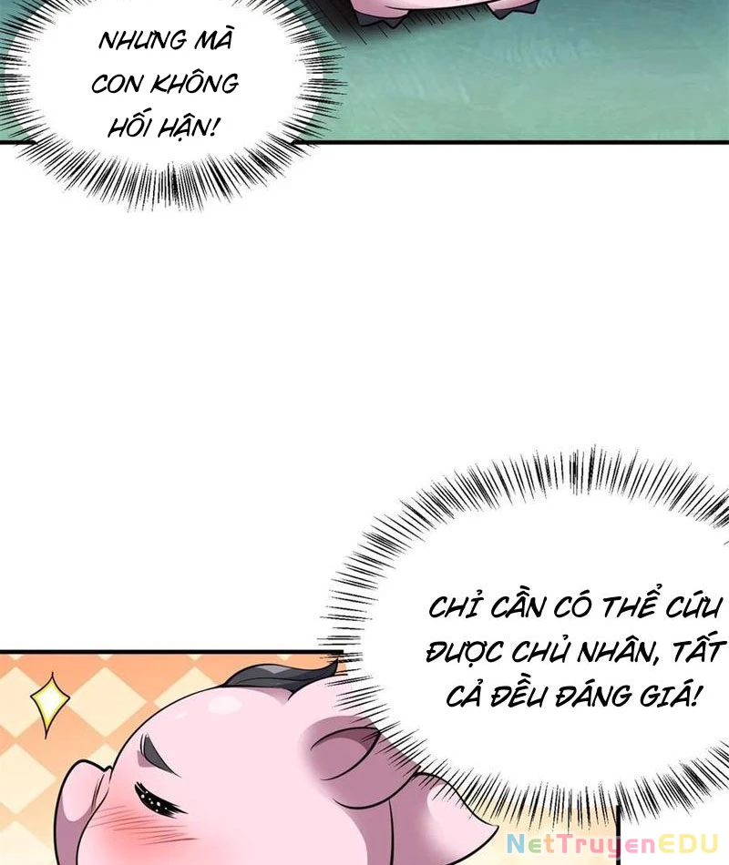 Ta Nhặt Đồ Bỏ Ở Mạt Thế Chapter 34 - 14