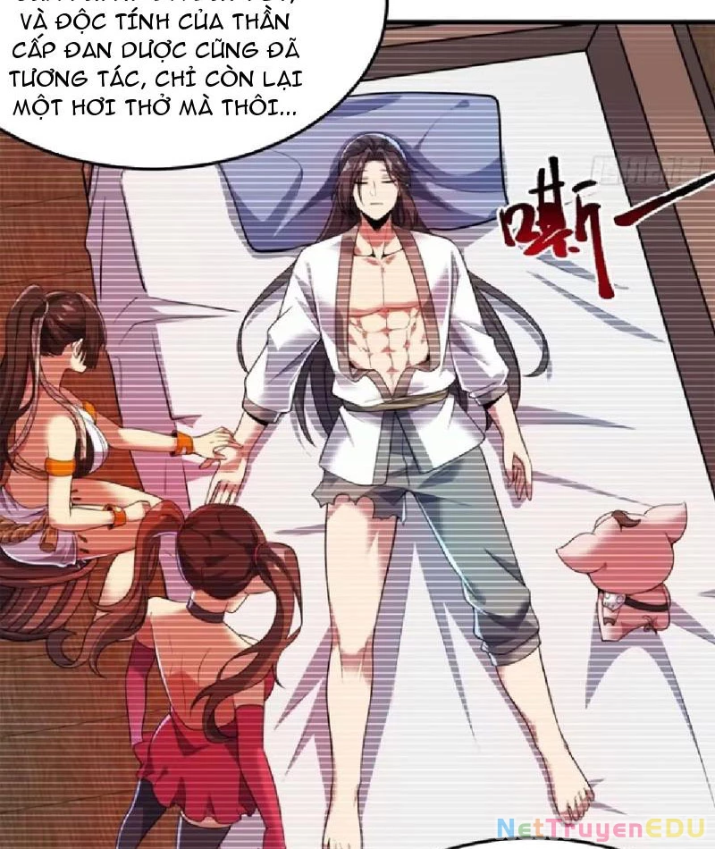 Ta Nhặt Đồ Bỏ Ở Mạt Thế Chapter 35 - 79