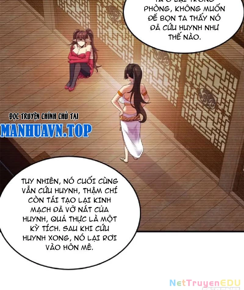 Ta Nhặt Đồ Bỏ Ở Mạt Thế Chapter 35 - 82