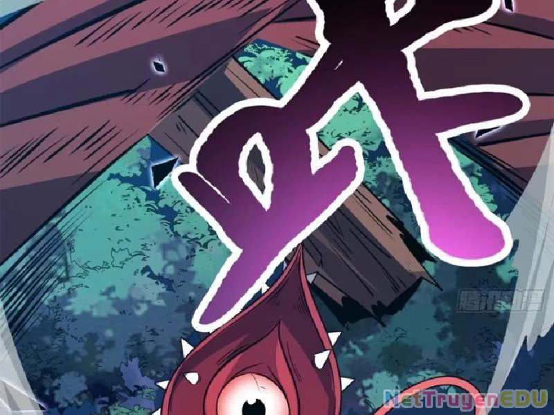 Ta Nhặt Đồ Bỏ Ở Mạt Thế Chapter 39 - 39