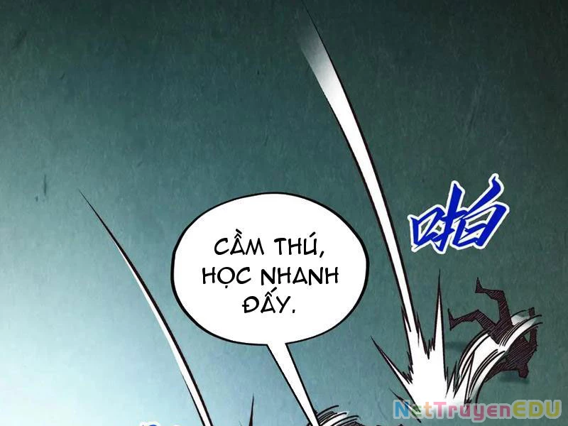 Vạn Cổ Chí Tôn Chapter 397 - 155