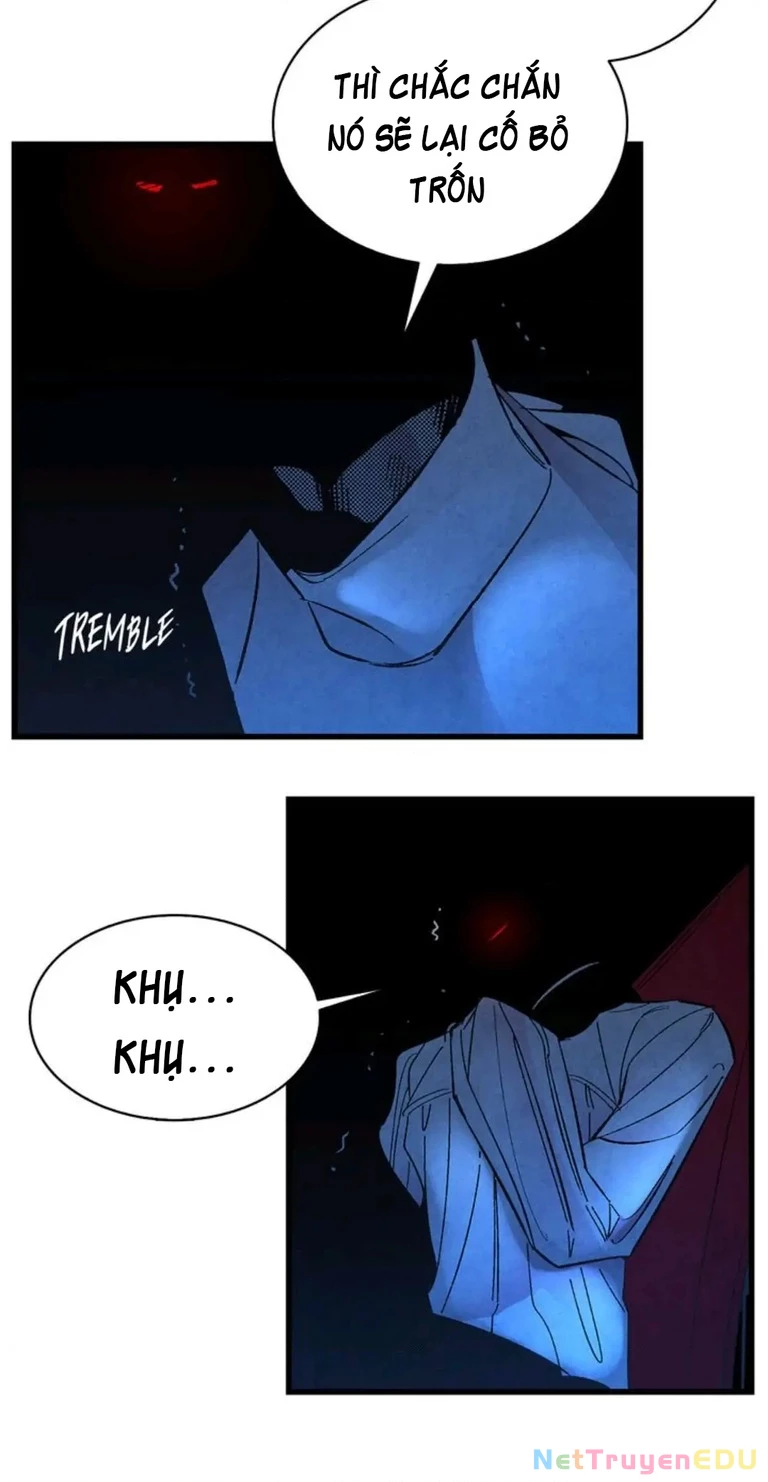 Mèo con của skelly Chapter 16 - 5