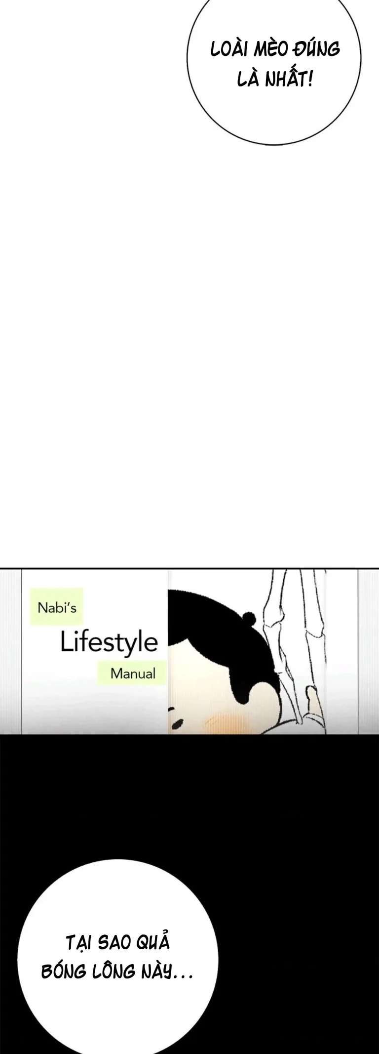 Mèo con của skelly Chapter 16 - 26