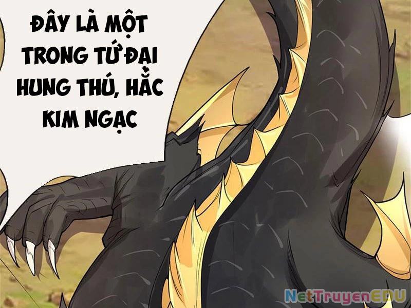 Tôi Có Thể Nuốt Chửng Vạn Vật Chapter 31 - Trang 2