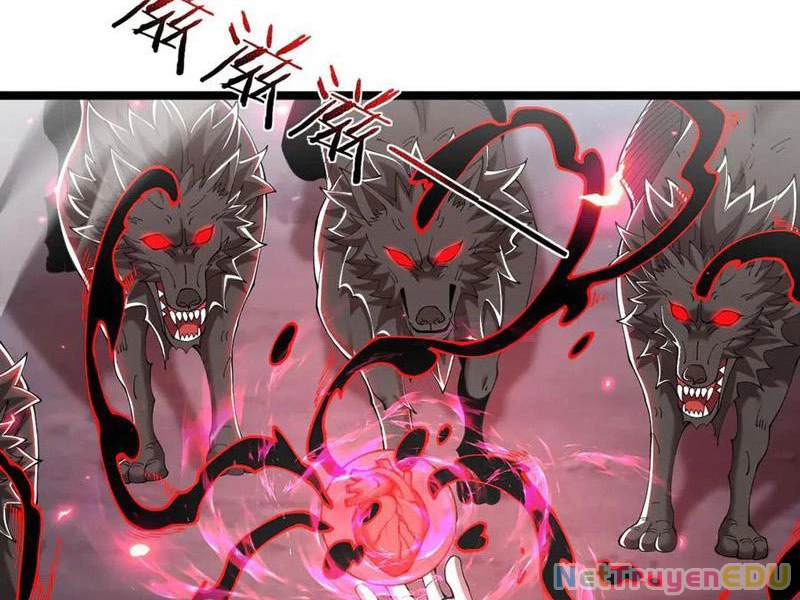 Cái Bóng Phản Bội Của Gia Tộc Chapter 48 - 14