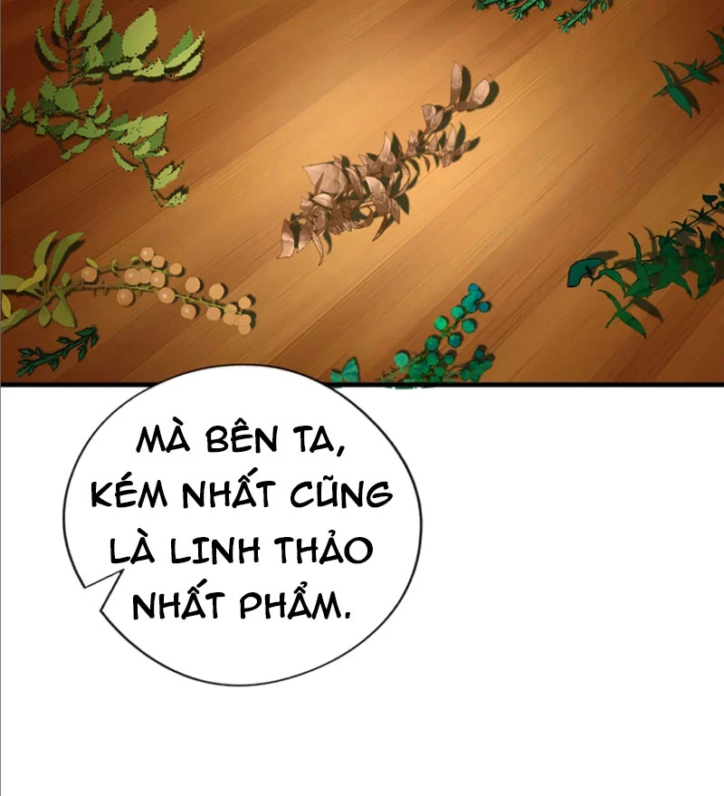 Tuyệt Thế Đan Thần Chapter 46 - 47