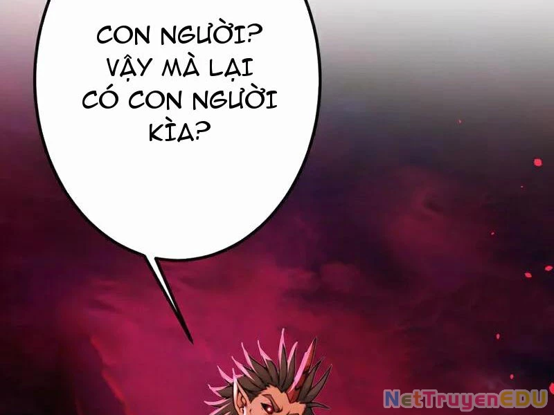 Tuyệt Thế Đan Thần Chapter 245 - 5