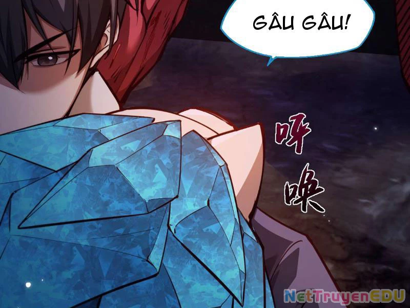 Ngự Thú: Ta Có Thế Thấy Toàn Bộ Chi Tiết Tiến Hóa Chapter 7 - 69