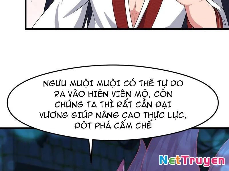 Trụ Vương Tái Sinh Không Muốn Làm Đại Phản Diện Chapter 76 - 56