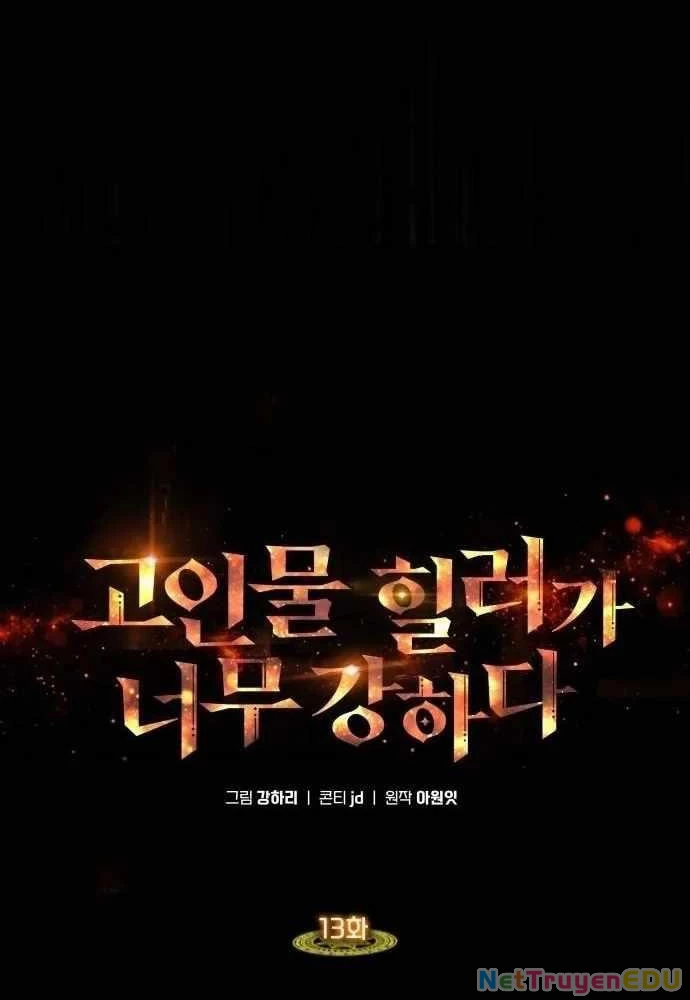 Trị Liệu Sư Quá Mạnh Chapter 13 - Trang 2