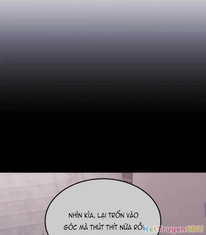 Trị Liệu Sư Quá Mạnh Chapter 20 - Trang 2