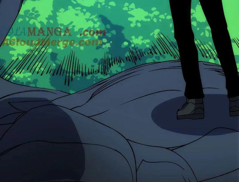 Bắt Đầu Kế Nhiệm Boss Hắc Long, Ta Vô Địch Chapter 55 - 13