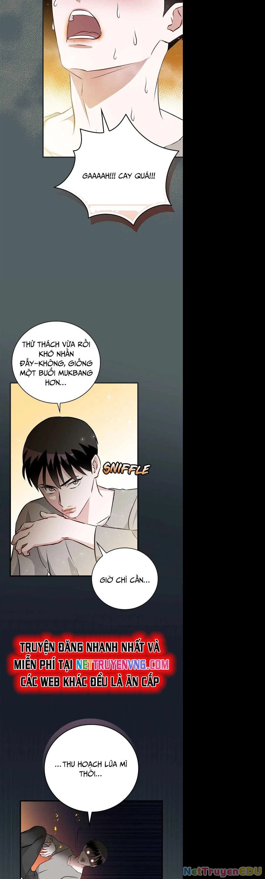Level Up Chỉ Bằng Cách Ăn Cơm Chapter 175 - 30