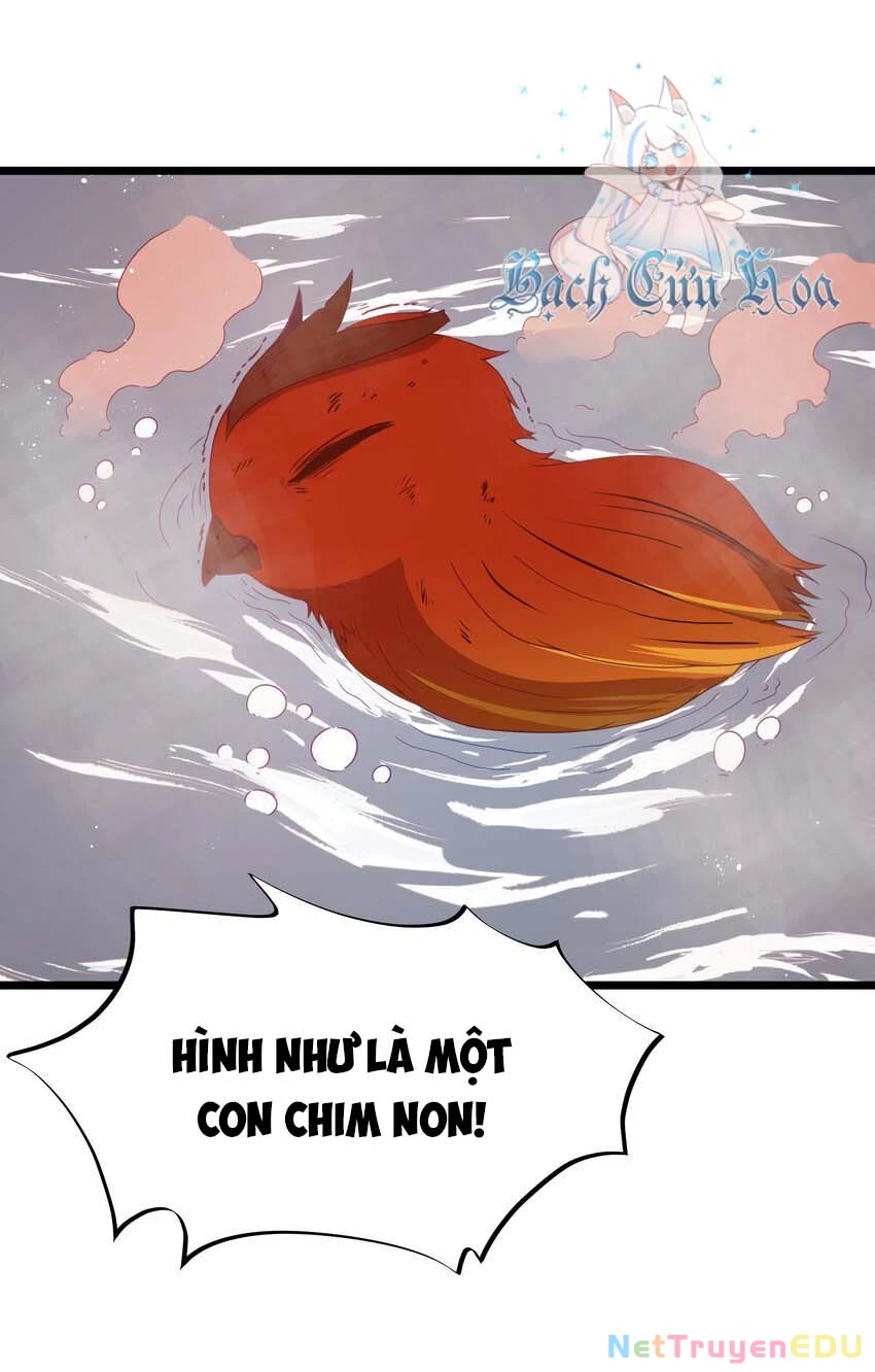 Anh Hùng Giai Cấp Tư Sản Chapter 45 - 44