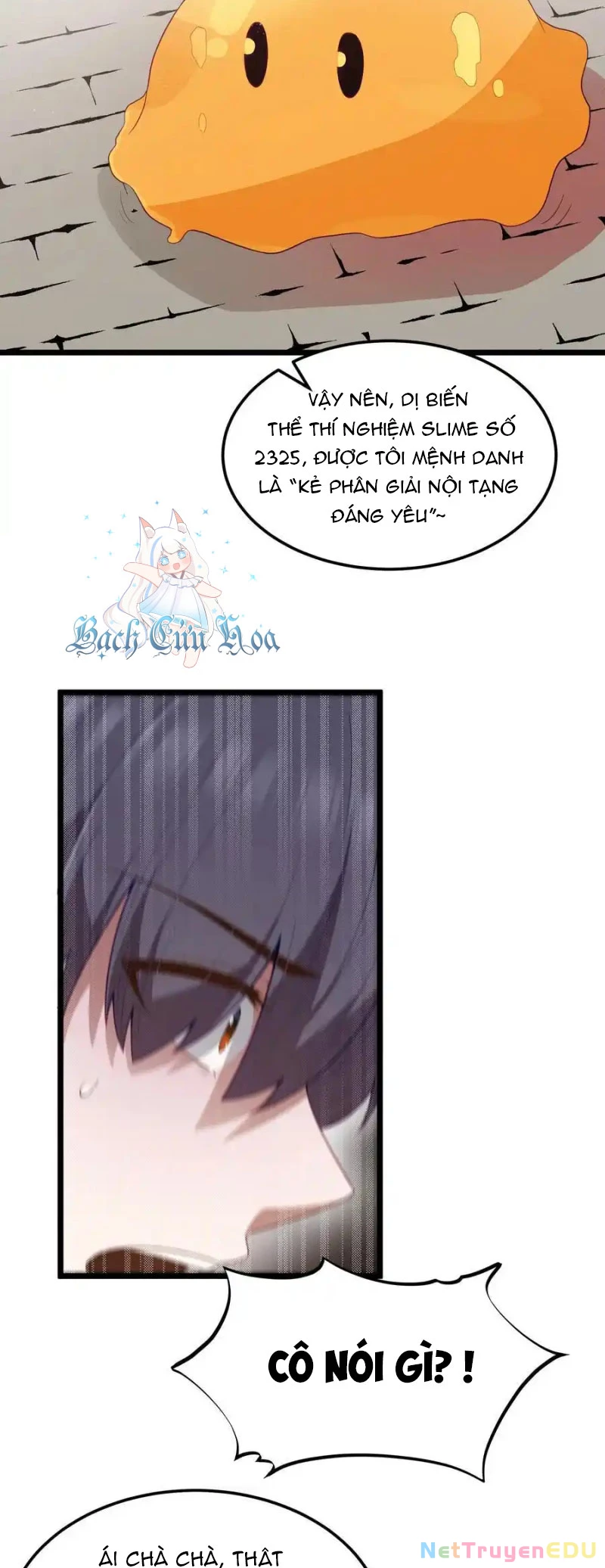 Anh Hùng Giai Cấp Tư Sản Chapter 55 - 21