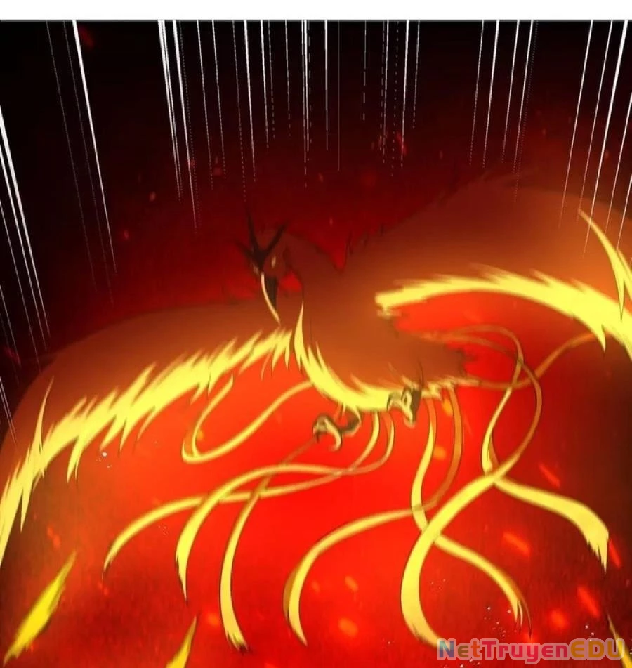 Anh Hùng Giai Cấp Tư Sản Chapter 101 - 27