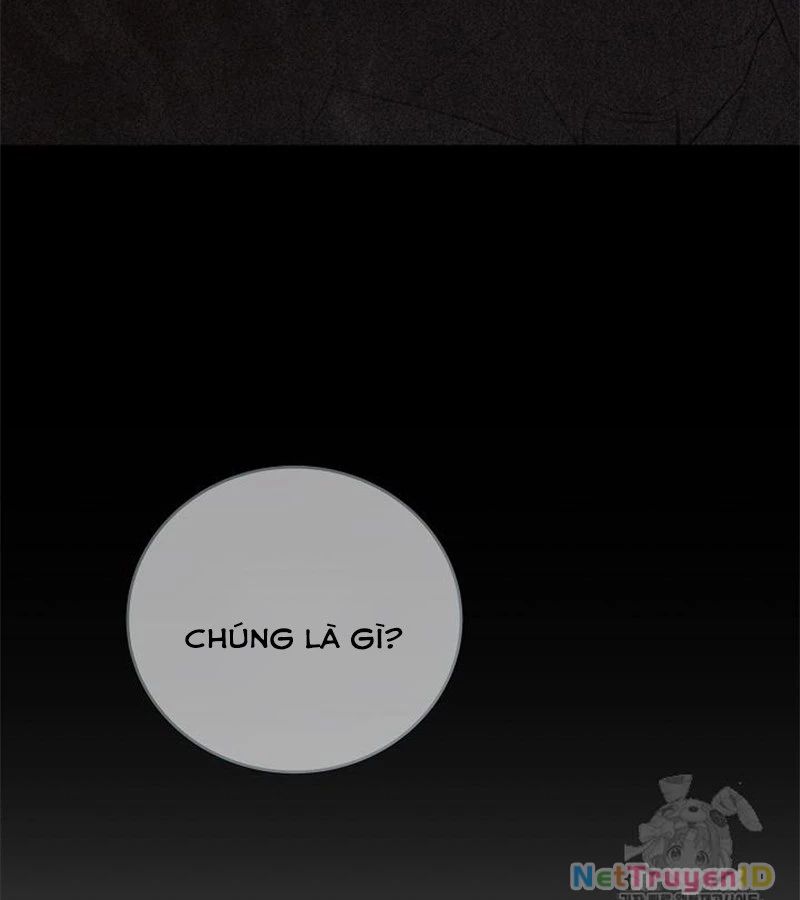 Đột Kích Giả Chapter 28 - 23