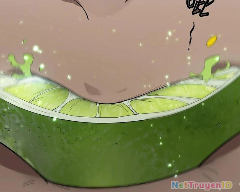 Băng Phong Mạt Nhật: Không Còn Đường Sống Chapter 31 - 42