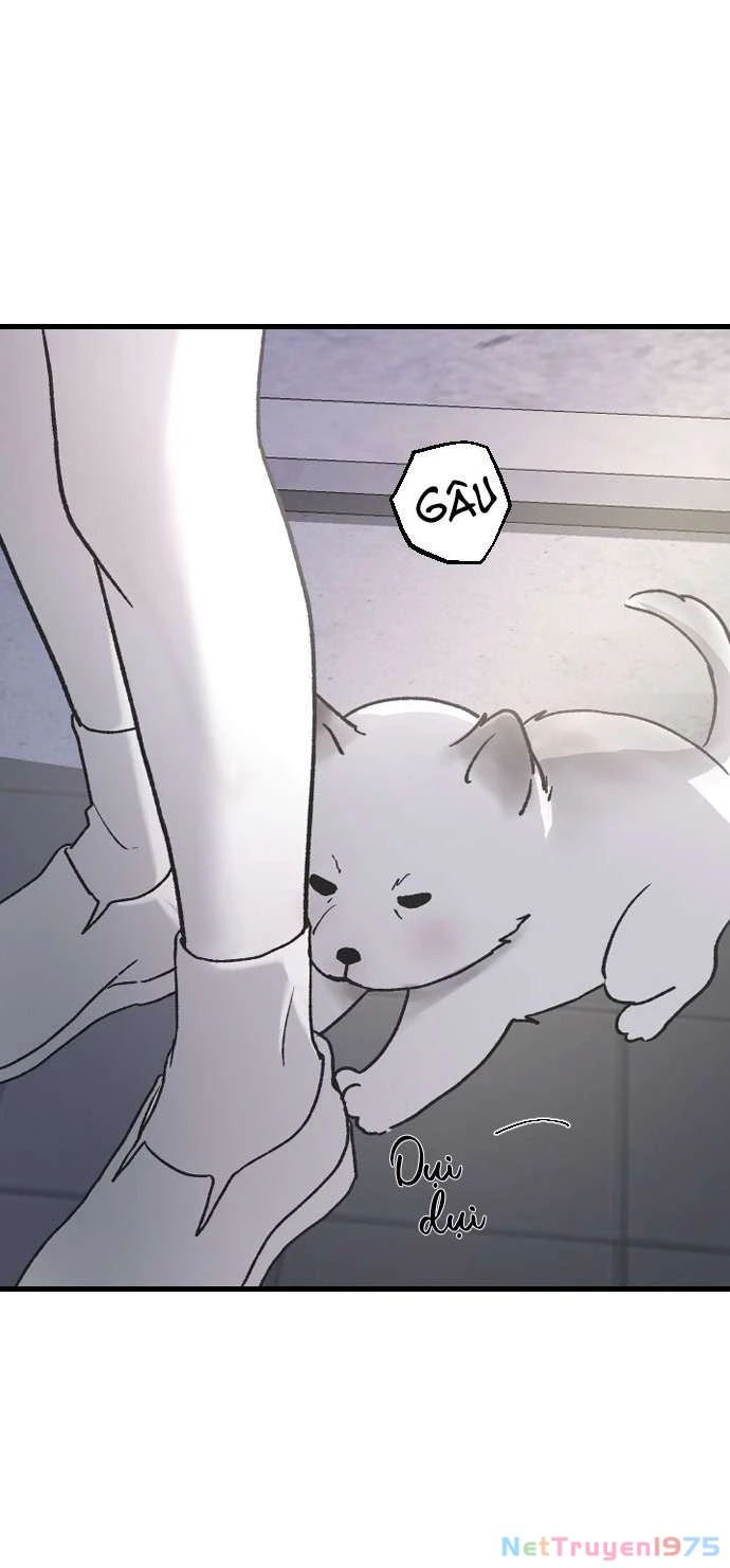 Ba Người Anh Trai Cực Phẩm Của Tôi Chapter 68 - 10