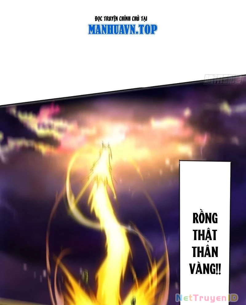 Ta thu thập hậu cung ở dị giới Chapter 46 - Trang 2