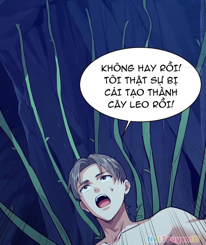 Ta thu thập hậu cung ở dị giới Chapter 61 - Trang 2