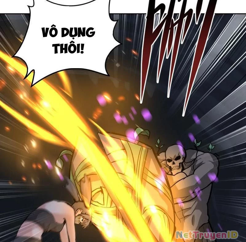 Ta thu thập hậu cung ở dị giới Chapter 63 - Trang 2